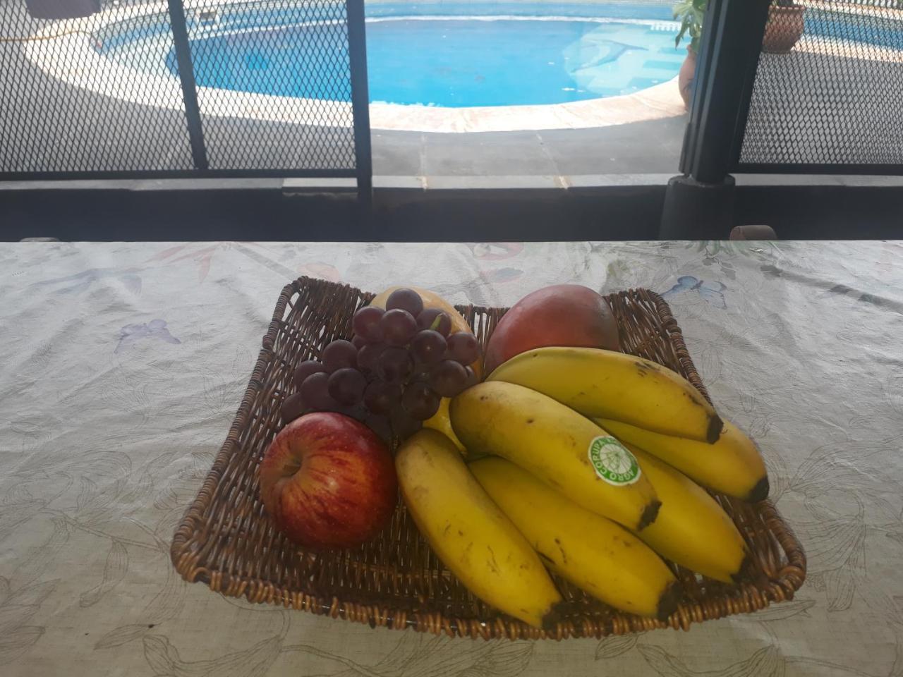 Sentirse En Casa Villa Пуерто Игуасу Екстериор снимка